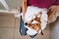 young woman drying her cute small jack russell dog with towel at home Royalty Free Stock Photo