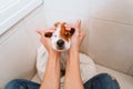 young woman drying her cute small jack russell dog with towel at home Royalty Free Stock Photo