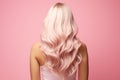 Young woman with dyed blonde pink curly hair isolated on pink background, back view. Trendy hairstyle design. Perfect long wavy