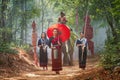 Young woman and Elephant mahout portrait. Elephant Ritual Making or Wild Elephant Catching. woman holding a lunch box or tiffin