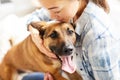 Young Woman Embracing Dog Royalty Free Stock Photo