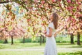 Young woman enjoying her walk in park during cherry blossom season on a nice spring day Royalty Free Stock Photo