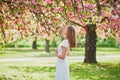 Young woman enjoying her walk in park during cherry blossom season on a nice spring day Royalty Free Stock Photo