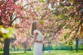 Young woman enjoying her walk in park during cherry blossom season on a nice spring day Royalty Free Stock Photo