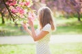 Young woman enjoying her walk in park during cherry blossom season on a nice spring day Royalty Free Stock Photo