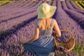 Young woman enjoys walking in lavender field on sunny day Royalty Free Stock Photo