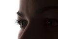 Young woman eye look ahead, closeup - silhouette Royalty Free Stock Photo