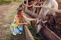 Young woman farmer feeding horses with grass on farm yard at sunset. Cattle eating and walking outdoors Royalty Free Stock Photo