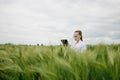 Young woman farmer wearing white bathrobe is checking harvest progress on a tablet at the green wheat field. New crop of wheat is Royalty Free Stock Photo