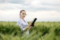 Young woman farmer wearing white bathrobe is checking harvest progress on a tablet at the green wheat field. New crop of Royalty Free Stock Photo