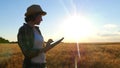 Young woman farmer in wheat field on sunset background. The girl uses the tablet, plans to harvest