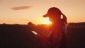 Young woman farmer working with tablet in field at sunset. The owner of a small business concept Royalty Free Stock Photo