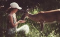 Young woman feed deers bambi. Cute wild animals concept. Royalty Free Stock Photo