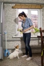 Young woman feeding dog Royalty Free Stock Photo