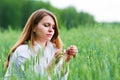 Young woman in summer field Royalty Free Stock Photo