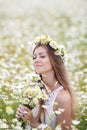 Young woman in a field of blooming daisies Royalty Free Stock Photo