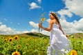 Young woman on field in summer Royalty Free Stock Photo