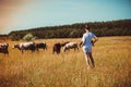 young woman in a field surrounded by cows Royalty Free Stock Photo