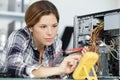 Young woman fix pc component in service center Royalty Free Stock Photo