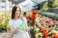 Young woman florist spraying water on houseplants in flower pots by sprayer. Closeup of female gardener sprinkles flowers using Royalty Free Stock Photo