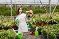 Young woman florist spraying water on houseplants in flower pots by sprayer. Closeup of female gardener sprinkles flowers using Royalty Free Stock Photo