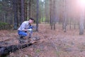 Young woman in forest camping cuts trunk of tree with an axe for firewood.