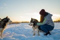 Young Woman With A Husky Dog Walking In Winter Park At Sunset Royalty Free Stock Photo