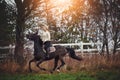 Young woman galloping her horse through the countryside in autumn Royalty Free Stock Photo