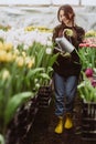 Young woman gardener in a gloves waters a flower bed of tulips using a watering can. Gardening hobby concept. Soft selective focus Royalty Free Stock Photo