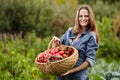 Young woman gardener holding a basket full of red paprika