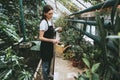 Young woman gardener watering potted houseplant in greenhouse Royalty Free Stock Photo