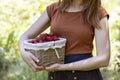 A young woman gathered ripe red strawberries in wicker basket