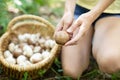 young woman gathers mushrooms in forest