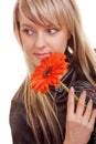 Young woman with gerber flower Royalty Free Stock Photo