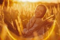 Young woman Girl in field in Sunset in spring, summer landscape background Springtime Summertime. Beautiful smiling woman in a Royalty Free Stock Photo