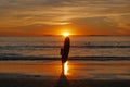 Sunset Surfboard Silhouette Surfer Beach Woman Girl Royalty Free Stock Photo