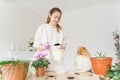 A young woman in gloves together with a dog transplanted a flower in a new pot,