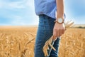 Young woman in grain field, closeup. Royalty Free Stock Photo