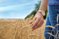 Young woman in grain field, closeup . Cereal farming Royalty Free Stock Photo