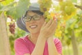 Young woman in grape plantation Royalty Free Stock Photo