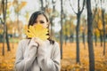 Young woman in a gray sweater with an autumn yellow maple leaf in front of her face in a maple park Royalty Free Stock Photo