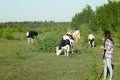 Young woman grazing cows Royalty Free Stock Photo