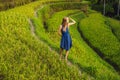 Young woman on Green cascade rice field plantation at Tegalalang terrace. Bali, Indonesia Royalty Free Stock Photo