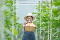 Young woman in a greenhouse with butternut squash basket Royalty Free Stock Photo