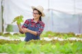 Young woman in a greenhouse organic farm