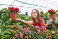 Young woman in a greenhouse smiling holds in her hands houseplants in flower pots