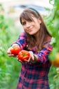 Young woman in a greenhouse Royalty Free Stock Photo