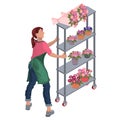 A girl is carrying a rack of flowerpots. Isometric. Vector.