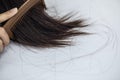 Young woman hair loss, with thin hair. Royalty Free Stock Photo
