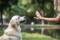 hand close to dog head